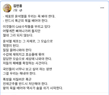 '野김민석 친형' 김민웅 "尹 목 베어야"…與김기현 "민주, 유혈사태 바라&quo...