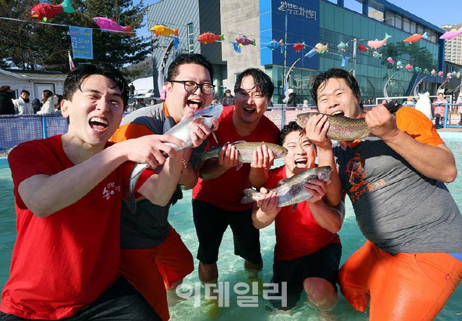 평창송어축제에 내수 경제 '활력'…소비총액 2.7배↑