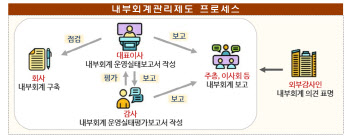 금감원 "자산 5천억 이상 비상장법인 내부회계관리제도 마련해야"