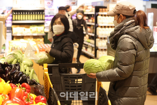 [포토]더 좋은 양배추에 대해 고민