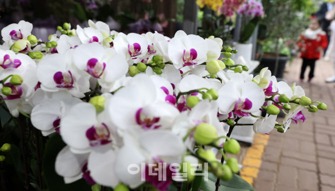 [포토]내일이 입춘!!