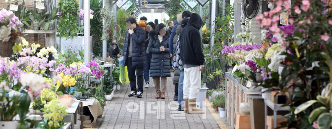 [포토]입춘 D-1, 봄 향기 느끼는 시민들