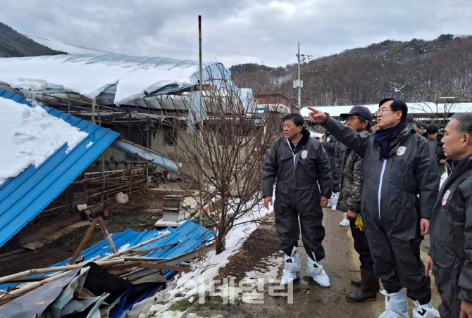 [포토] 폭설 피해 축산농가 점검하는 안병우 축산경제대표