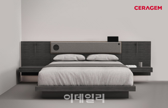 세라젬 “홈 IoT 국제표준화 모델 연내 제정 전망”