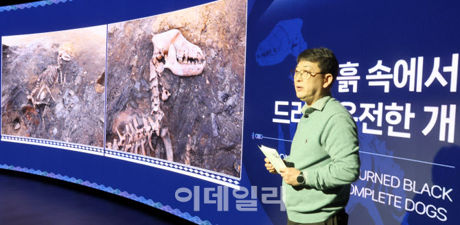 [포토]'개를 제물로 바친 듯한 의례 흔적'