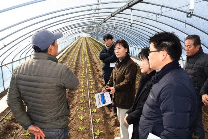 농식품부, 중국산 배추·무 이달 직수입…최대 40% 할인지원도