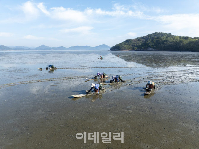 국가유산청, 세계유산 '한국의 갯벌' 확대 등재 나선다