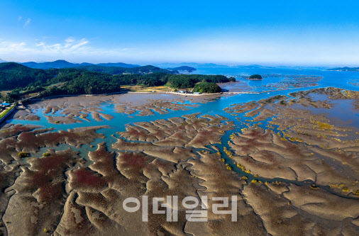 천혜의 해양 생태 보고 ‘가로림만’, 세계유산 등재 추진