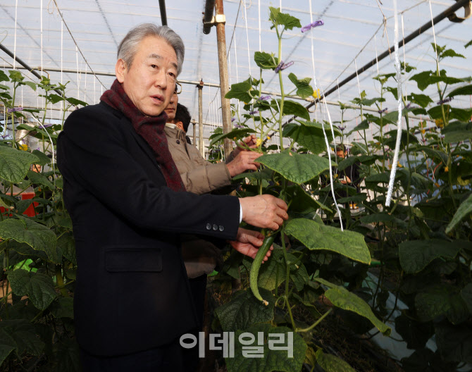 [포토] 오이 생육·출하 상황 점검하는 강호동 농협회장