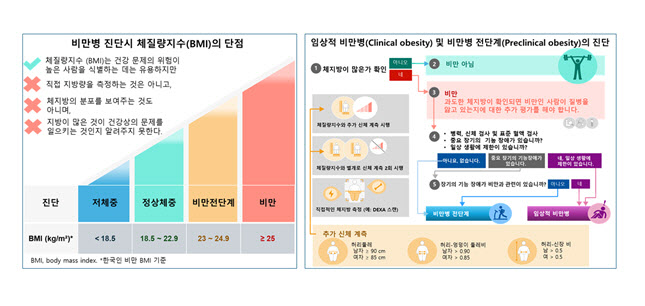 “비만병 진단, BMI만으론 부족하다. 새 진단기준 제시”