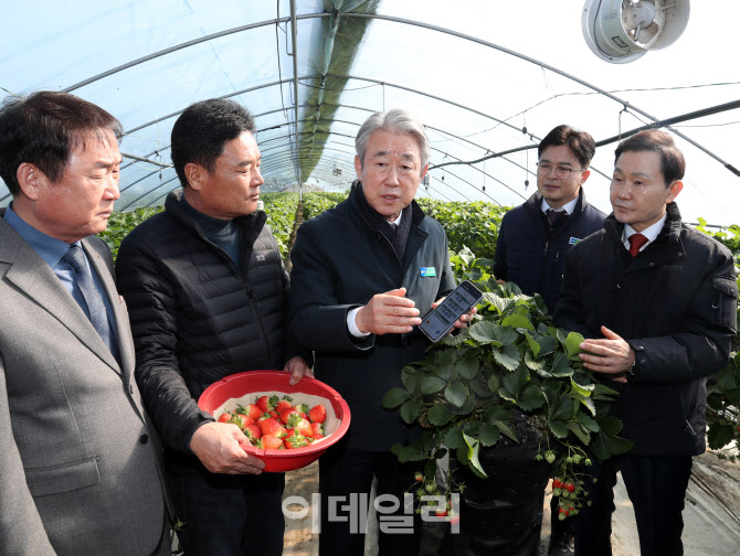 [포토] 강호동 농협회장, 딸기 스마트팜 농가 현장 점검