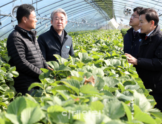 [포토] 현장경영 나선 강호동 농협회장