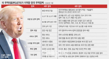 트럼프, 비관세장벽 고려해 상호관세…韓 영향은(종합)