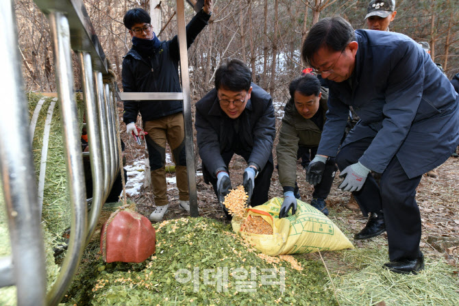 국가유산청, 천연기념물 산양에 먹이 공급…폐사 신고 줄어