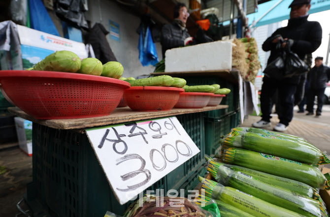 [포토]2월 폭설에 채소류 가격 상승