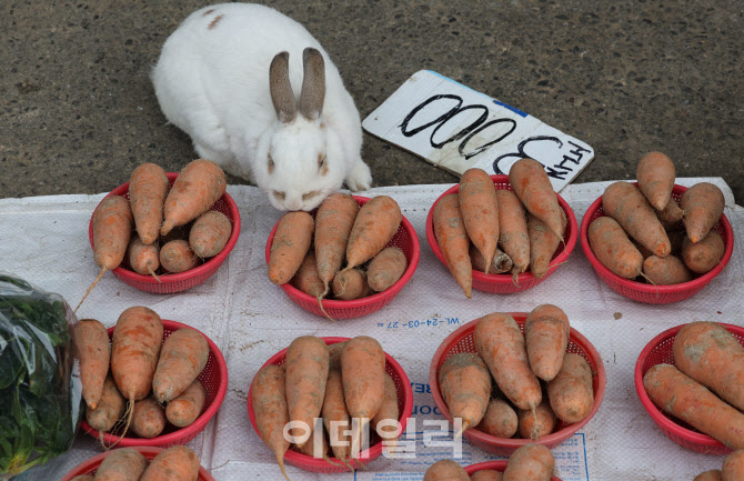 [포토]'너무 많이 오르면 안되는데'