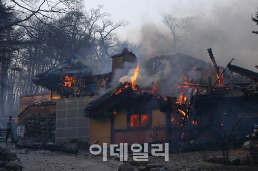 계속된 가뭄에 양간지풍까지…올해 봄철 대형산불 ‘초비상’