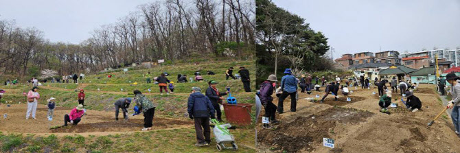 은평구, 친환경 나눔 텃밭 참여자 모집[동네방네]