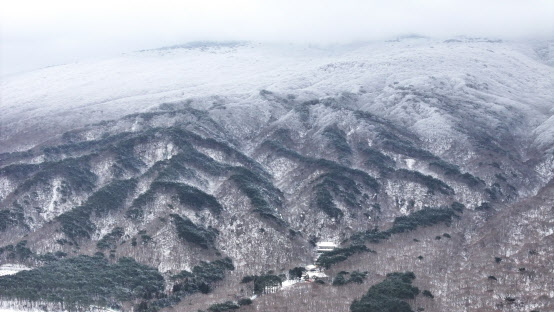 주말 10도까지 오르다 눈·비…3·1절후 강원·경북 최대 50㎝ 폭설