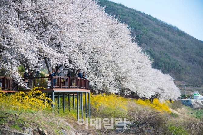 "국내 여행시장 살리자"…정부 '여행가는 봄' 캠페인 시동