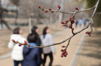 미세먼지 많은 봄 날씨…수도권·제주서 비[내일날씨]