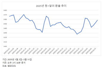 경기침체·정국불안이 달러 수요 부채질… "1300원대, 빨라야 2분기 말"