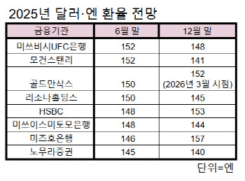 "엔고에 무작정 투자는 위험"…엇갈리는 환율 전망