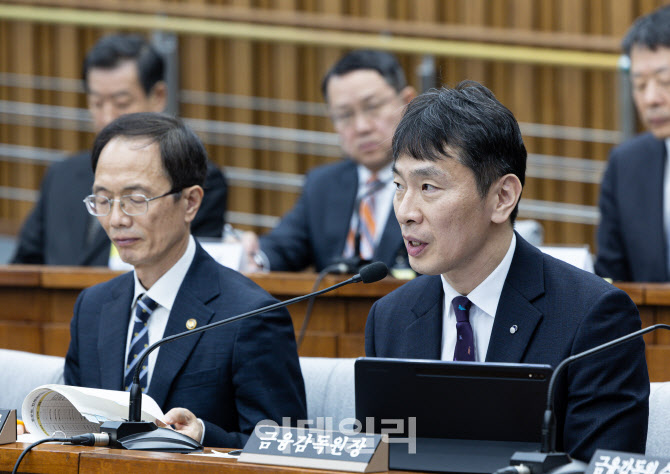 [포토]이복현, '상법개정안 거부권은 위험한 길 되돌아 가는 것'