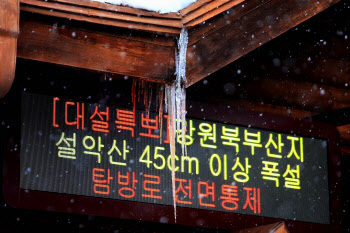 강원 56㎝ 폭설…해발 800ｍ 캠퍼스에 갇힌 대학생들
