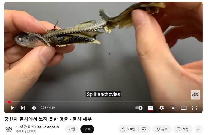'수상한 생선' 등 유명 유튜브 3개 채널, 해수부 콘텐츠 협력자 활동