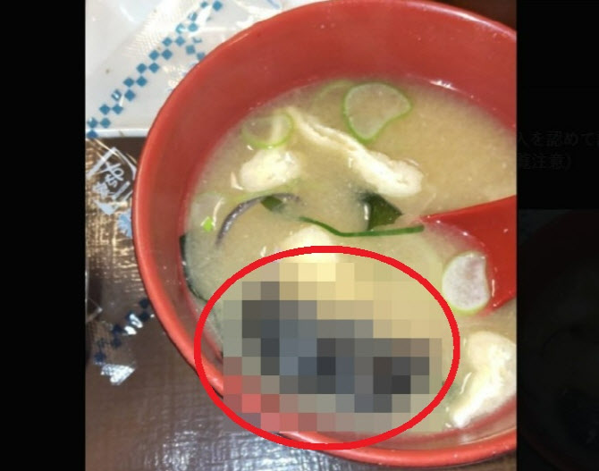 “된장국에 죽은 쥐가” 日 최대 규동 체인점, 뒤늦게 한 말