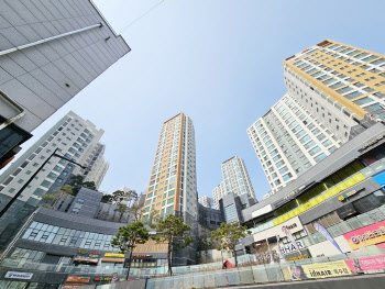 수혜주 옥수도, 날벼락 대치도 "일단 관망" 눈치게임