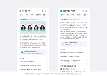 퍼플렉시티와 달라…네이버, 27일 AI 브리핑 시작, ‘버티컬’ 공략