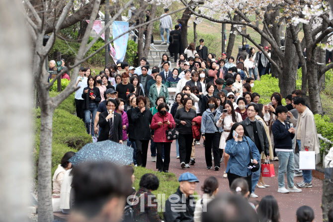 [포토] 벚꽃구경 인산인해
