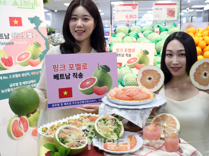 [포토] 베트남 핑크 포멜로 출시