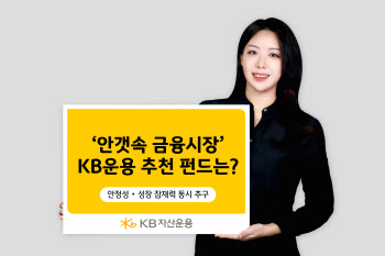 KB운용 "변동성 장세 속 채권·美 성장·배당 펀드 주목"