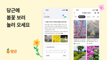 우리 동네 벚꽃 명소 찾고싶다면? '당근'에 다있다