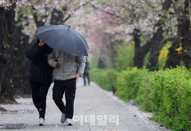 [포토]'꽃비 대신 눈비'