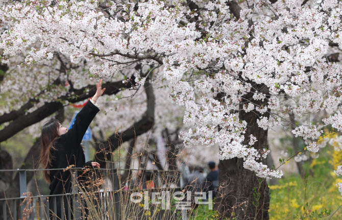 [포토]'잡고 싶은 봄'
