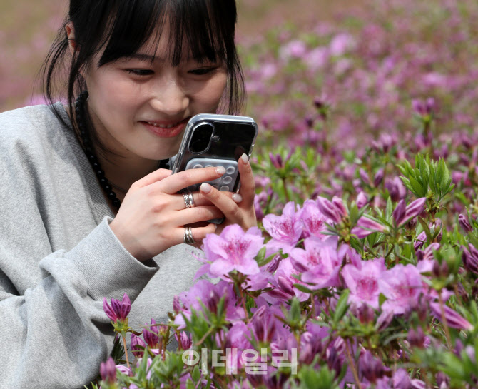 [포토] 철쭉꽃
