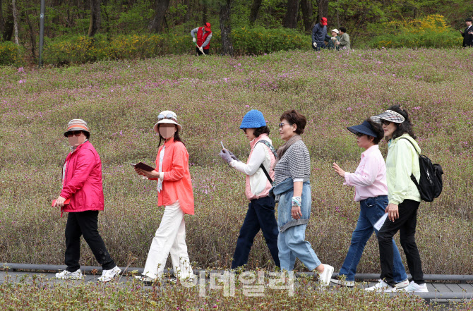 [포토] 철쭉 동산 산책하는 시민들
