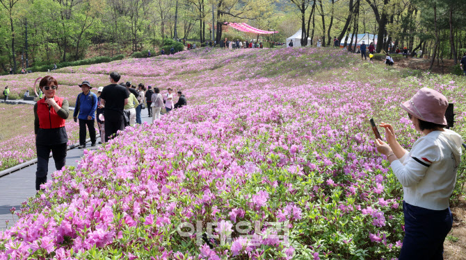 [포토]"봄기운 가득" 불암산 철쭉제