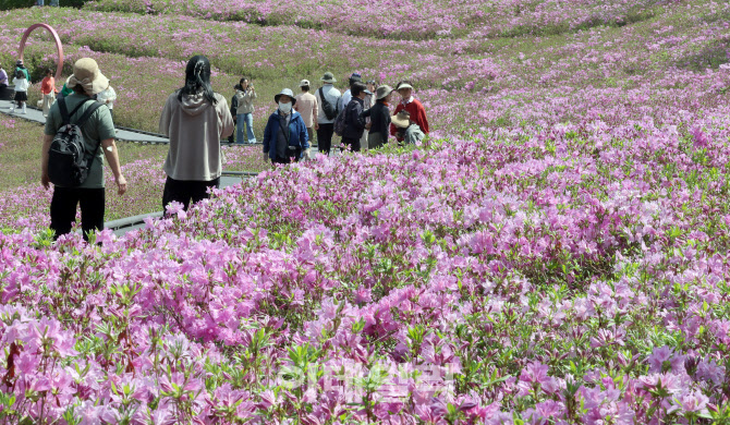 [포토]철쭉제에서 봄기운 가득 받아보세요