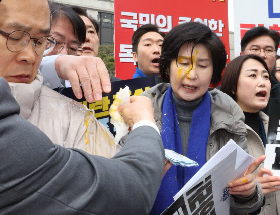 헌재 앞 백혜련에 ‘날달걀’ 투척…30대 남성 경찰 소환 조사