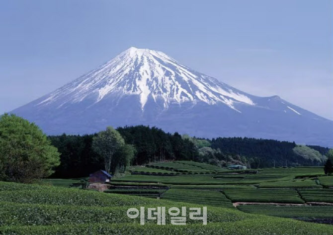 후지산서 구조된 지 나흘 만에 ‘또’ 조난…“폰 놓고 왔어요”