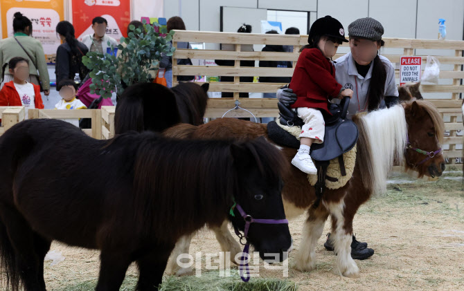 말 복지 강화한다…등록제 의무화하고, 학대 신고하면 사례금도