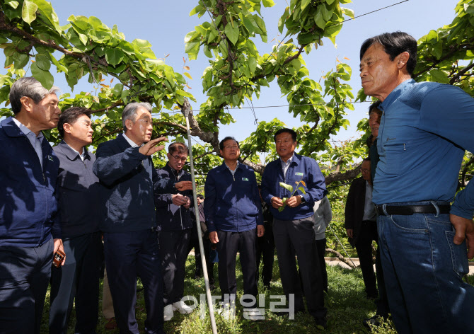 [포토] 강호동 농협회장, 냉해 피해 현장 점검