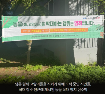 "나무토막 먹여 죽여”…길고양이 밥주기 "자율VS민폐" 논란
