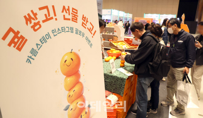 [포토]귤 쌓고! 선물 받고!