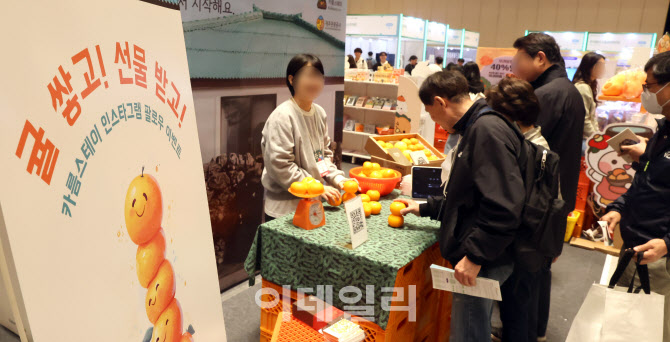 [포토]귤 쌓고! 선물도 받고!